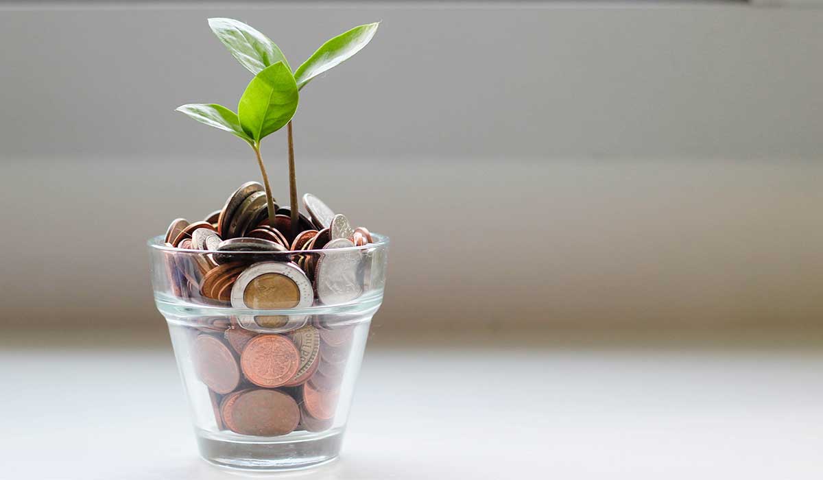 geld sparen umwelt schonen